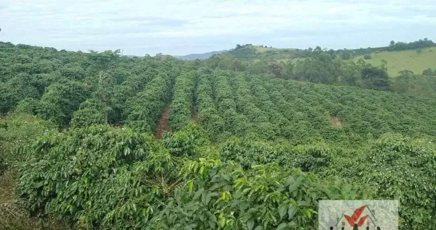 Chácara / sítio à venda no Centro, Caconde
