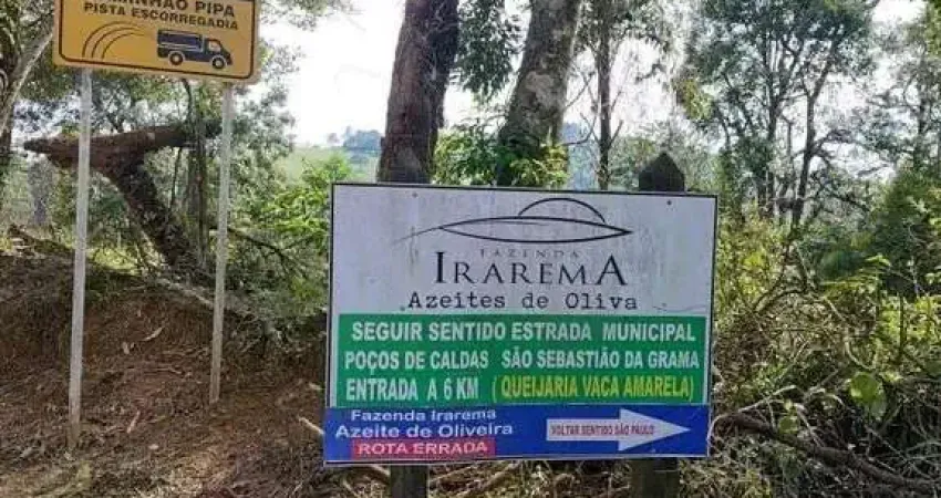 Chácara / sítio à venda no Centro, Poços de Caldas 