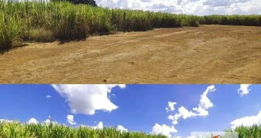 Chácara / sítio à venda no Centro, Cajuru 