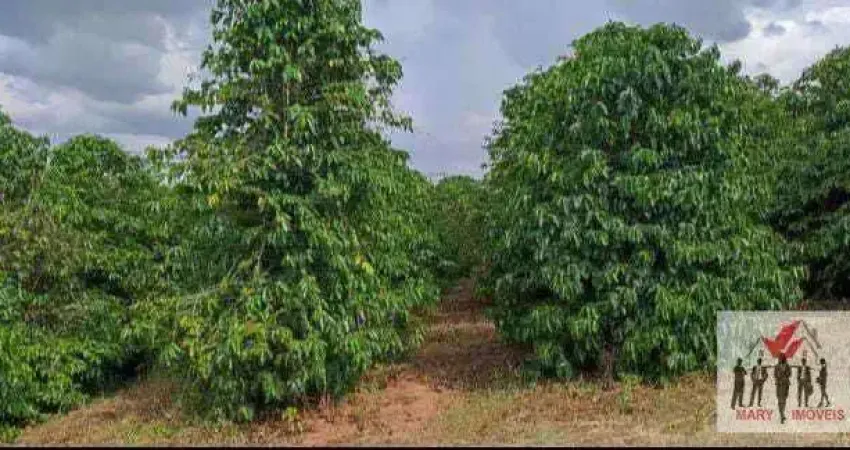 Chácara / sítio à venda no Centro, Botelhos