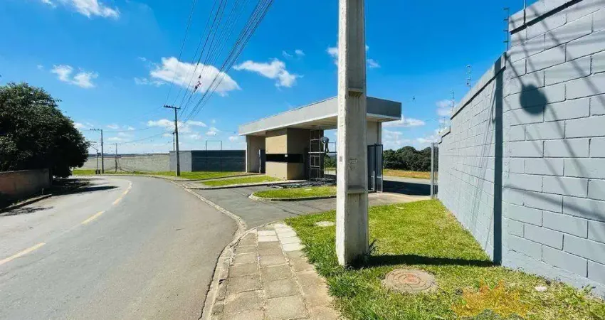RESIDENCIAL CAMPO BELLO - CAMPO LARGO -  LOTES A PARTIR DE 702,00 M²