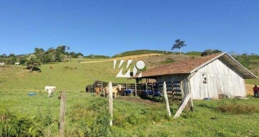 Chácara / sítio com 3 quartos à venda no Centro, Leoberto Leal 