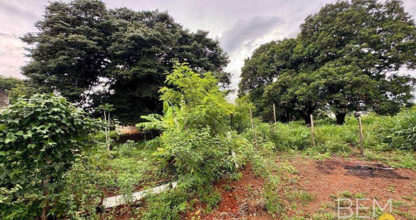 Terreno comercial à venda na Avenida Vittório Veneto, Jardim Padre Bento, Itu