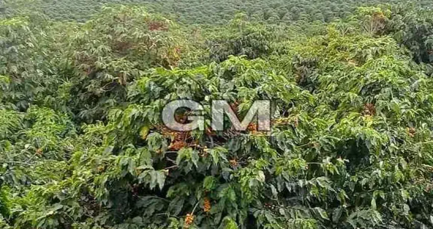 Chácara / sítio à venda na Zona Rural, Caconde