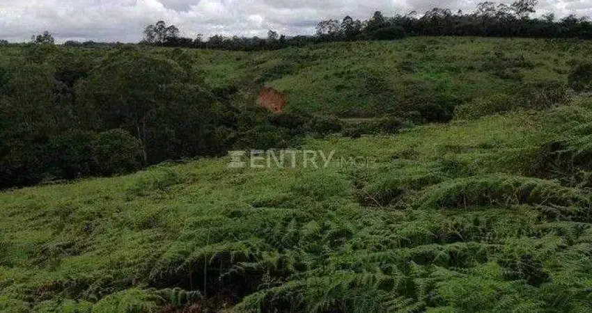 Terreno residencial / 5.000 metros/ residencial são domingos