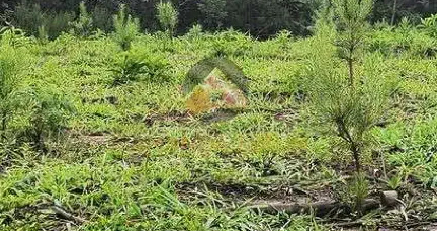 Terreno à venda em Três Córregos, Campo Largo