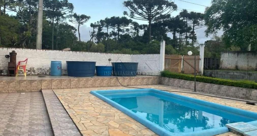 Chácara / sítio com 2 quartos à venda na Rua Antônio Brunatto, 130, Costeira, Araucária