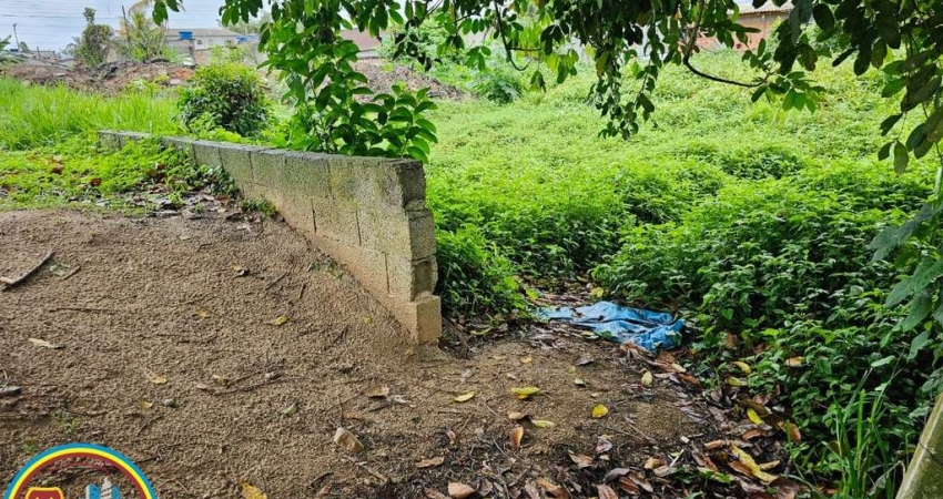 Terreno à venda na Rua Ismael Ferreira Santos, 100, Barranco Alto, Caraguatatuba