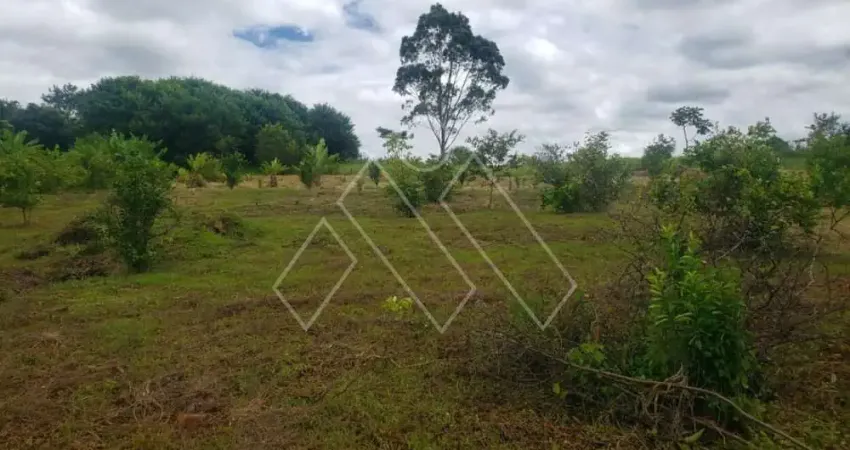 Chácara / sítio com 3 quartos à venda na NÚCLEO RURAL Ribeirão Jacutinga, Zona Rural, Ibiporã