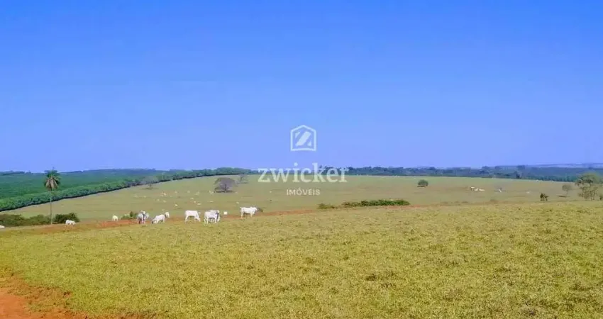 Chácara / sítio com 2 quartos à venda na Zona Rural, Duartina 