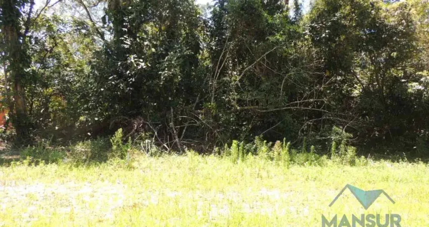 Terreno à venda, 403 m² por r$ 190.000 - pontal do sul - pontal do paraná/pr