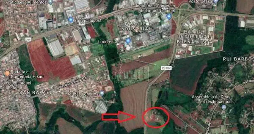 Terreno com 2 barracões à venda na BR-369, entre Londrina e Ibiporã