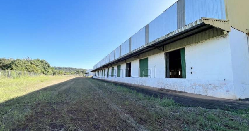Barracao Comercial para locação - Conjunto Habitacional Jamile Dequech, Londrina PR