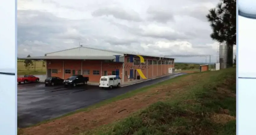 Fazenda à venda na Avenida Dom Lúcio, Centro, Botucatu