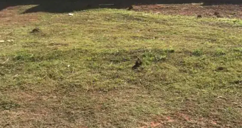 Oportunidade - terreno em condomínio - condomínio residencial mantiqueira - 252m².