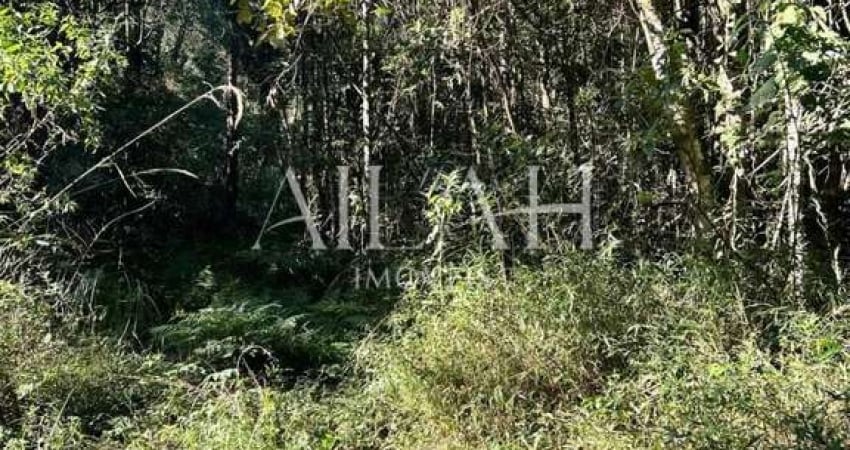 Chácara / sítio à venda na Fazenda Souza, Caxias do Sul 