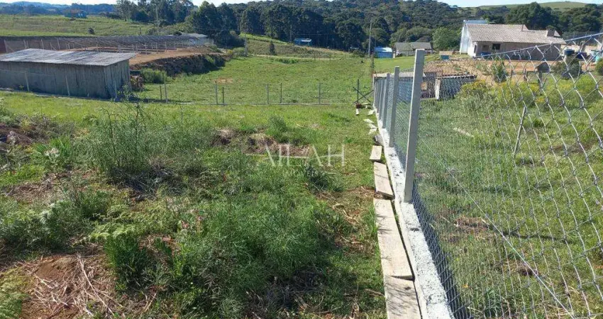 Chácara / sítio à venda na Vila Seca, Caxias do Sul 