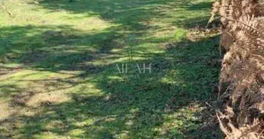 Excelente chácara com 26,6 mil metros quadrados em belavista/são virgílio em caxias do sul