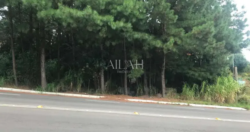 Terreno à venda na Rua Rosalimbo Antônio Guerra, Nossa Senhora da Saúde, Caxias do Sul