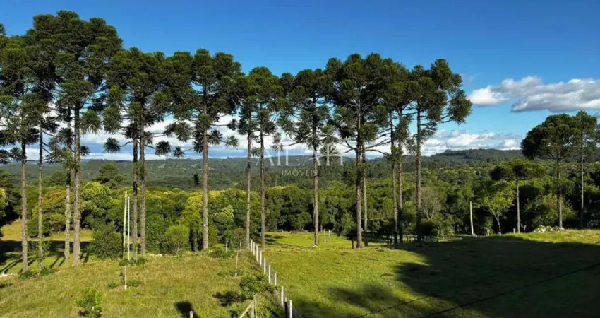 Chácara / sítio à venda na Rua Ismael José Rangel de Castilhos, Ana Rech, Caxias do Sul