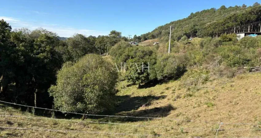 Chácara / sítio à venda na Rodovia RSC-453, Ana Rech, Caxias do Sul