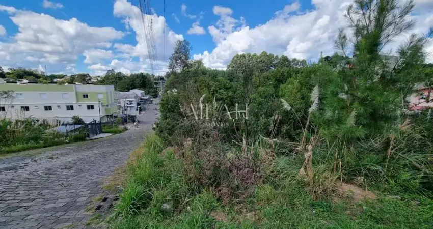 Terreno à venda na Rua Irmão Almiro Antônio Bisol, Desvio Rizzo, Caxias do Sul