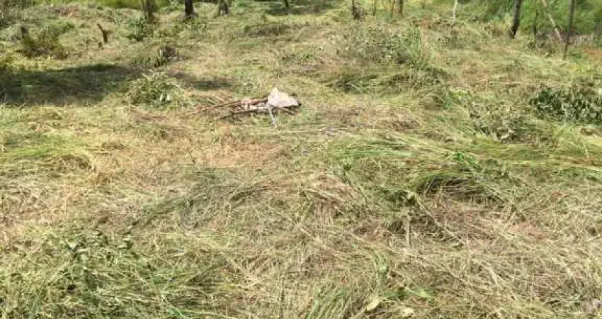 Terreno à venda na Alameda dos Cedros, Vale das Acácias, Ribeirão das Neves