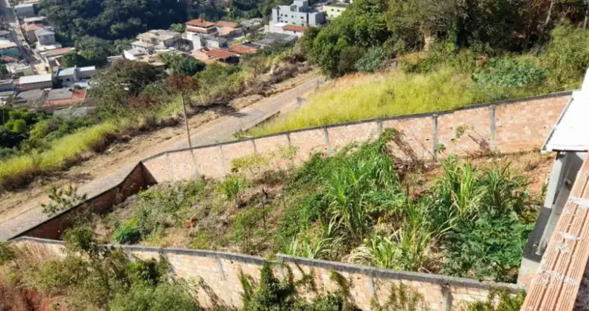 Terreno à venda na Rua Quarenta e Nove, Tropical, Contagem