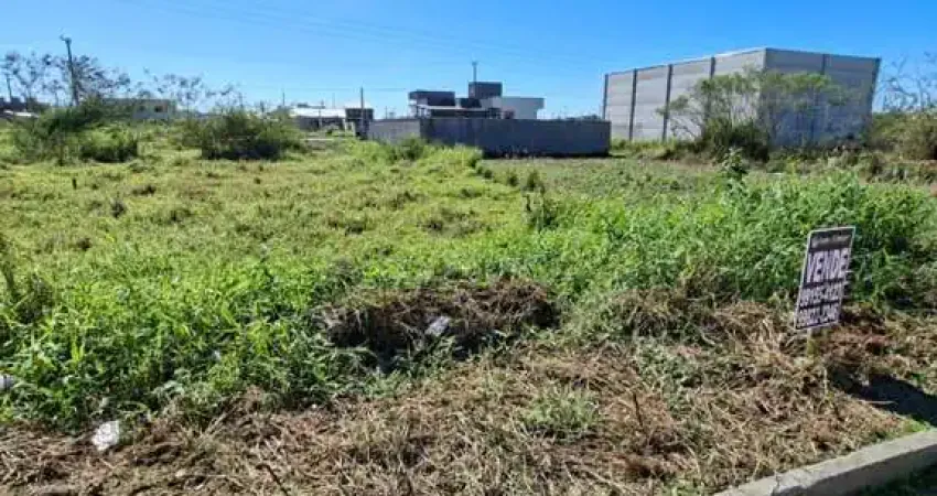 Terreno à venda na Rua Bernardo Turnes Neto, 100, Guarda do Cubatão, Palhoça