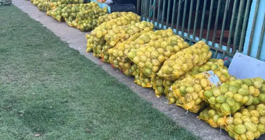 Chácara com 48.400 m² - zona rural - são miguel do passa quatro/go