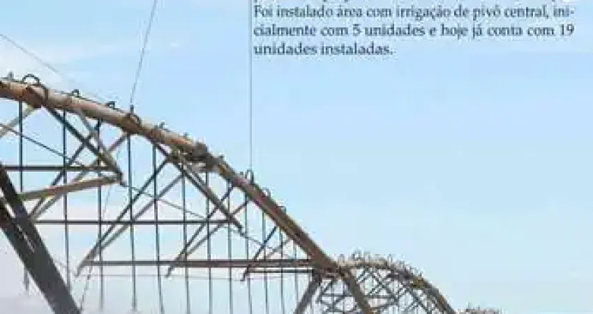 lindíssima fazenda com 10,000 hectares em plena produção com agro indústria