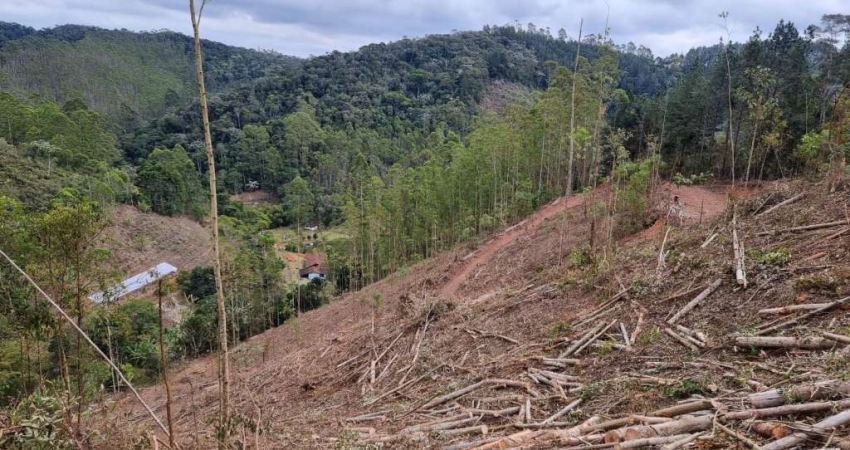 Terreno à venda no Alto Nova Almeida, Marechal Floriano 