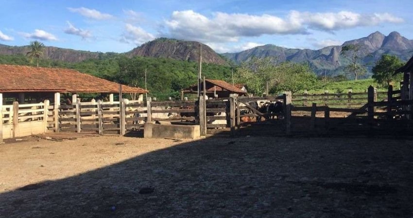 Fazenda com 1 sala à venda na Área Rural de Colatina, Colatina 
