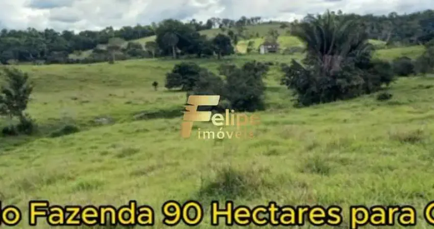 Fazenda para CAFÉ à Venda em Eunápolis Bahia 90  hectares.