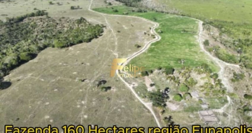 Fazenda para CAFÉ à Venda em Eunápolis Bahia 160 hectares.