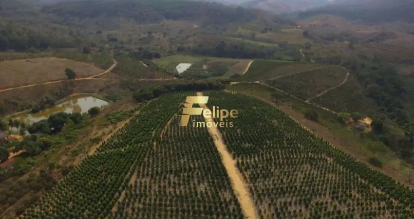 Fazenda à venda na Área Rural de Colatina, Colatina 