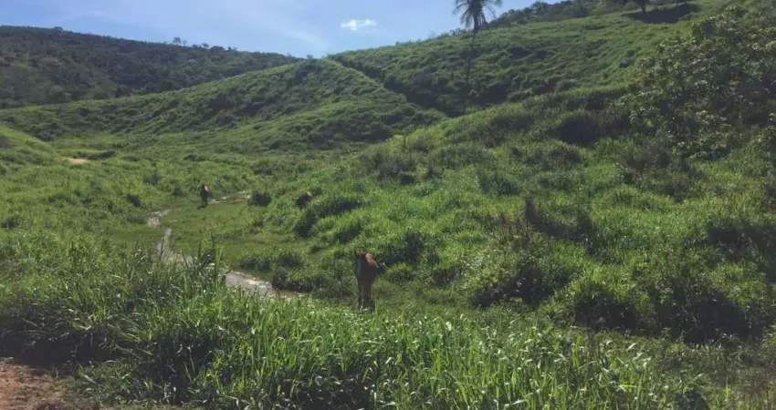 Fazenda com 1 sala à venda na Área Rural de Colatina, Colatina 