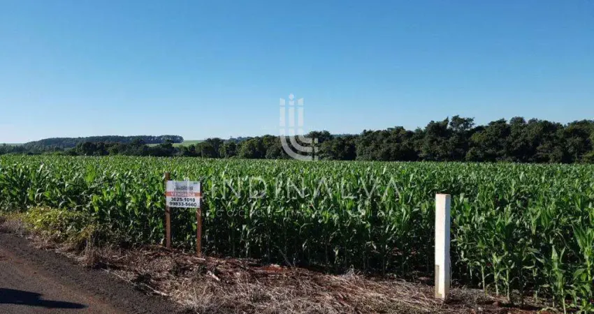 Área na av. felipe wandscheer com 10.649 m2 - com mata e riacho - 15 min do centro.