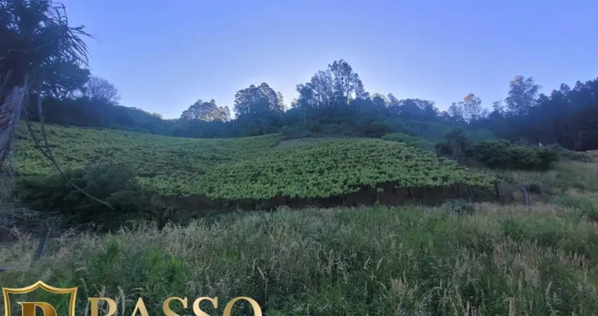 Chácara à venda – bairro santa corona - 4km do centro de caxias do sul