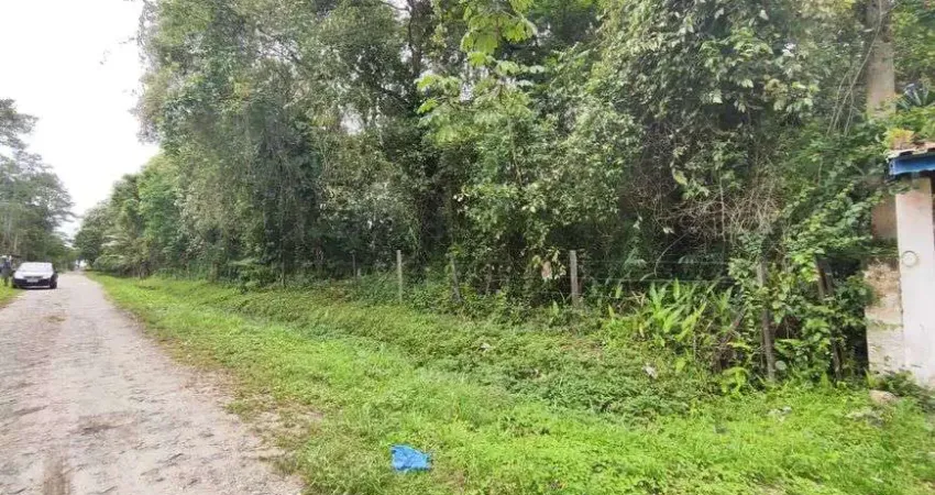 Terreno de chácara no bairro palmeiras á 1.500 metros da rodovia !