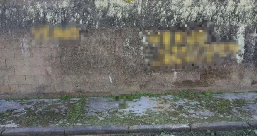 Terreno para venda possui 501 metros quadrados em cibratel ii - itanhaém - sp