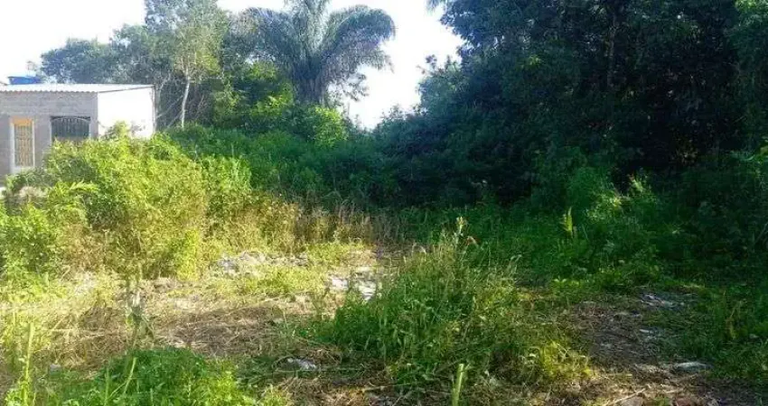 Terreno no bairro gaivota, em itanhaém, litoral sul de são paulo, localizado lado serra, ficando à 400 metros da rodovia.