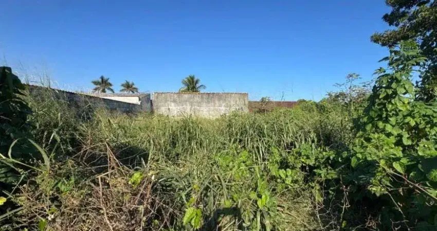 Terreno para venda no bairro gaivota, localizado na cidade de itanhaém / sp.