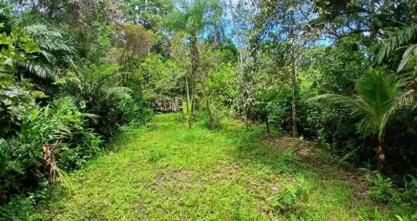 Terreno para venda no bairro coronel, localizado na cidade de itanhaém / sp.