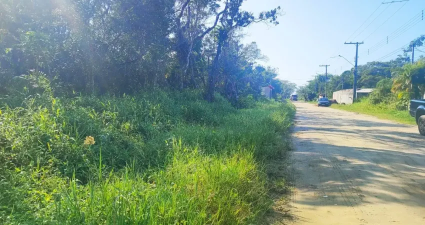 Terreno para venda no bairro gaivota, localizado na cidade de itanhaém / sp