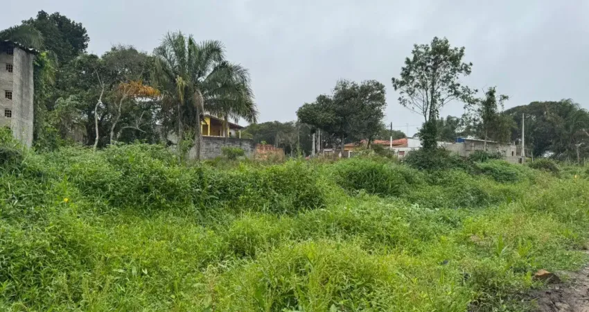 Terreno para venda no bairro palmeiras, localizado na cidade de itanhaém / sp
