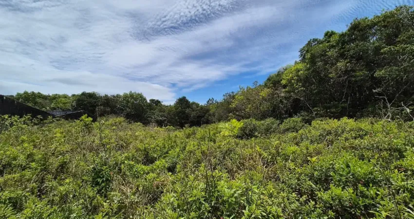 Terreno para venda no bairro marambá 1, localizado na cidade de itanhaém / sp