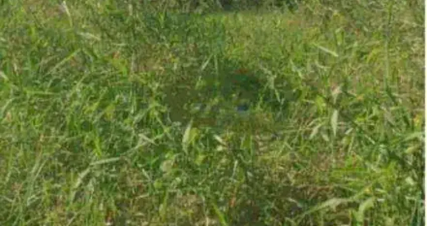 Terreno à venda na Rua Porto Rico, 326, Serra Grande, Niterói
