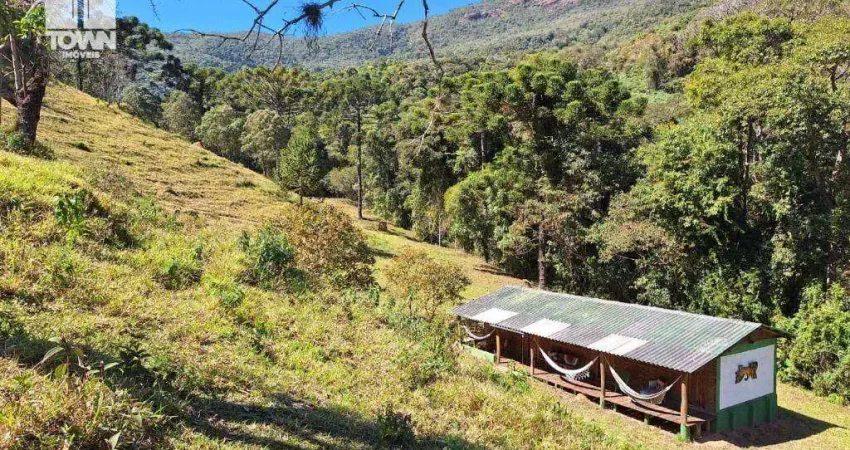 Sítio com 5 dormitórios à venda, 600000 m² por r$ 2.000.000,00 - zona rural - baependi/mg