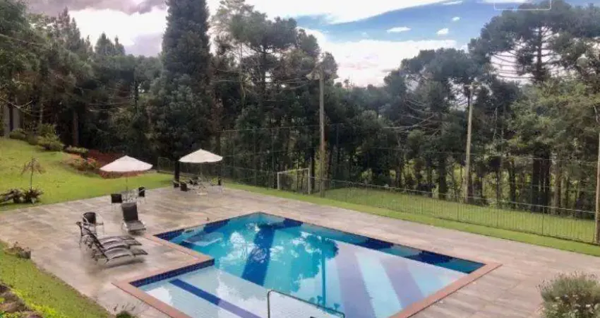 Terreno à venda, 2500 m² por R$ 630.000,00 - Arace - Domingos Martins/ES